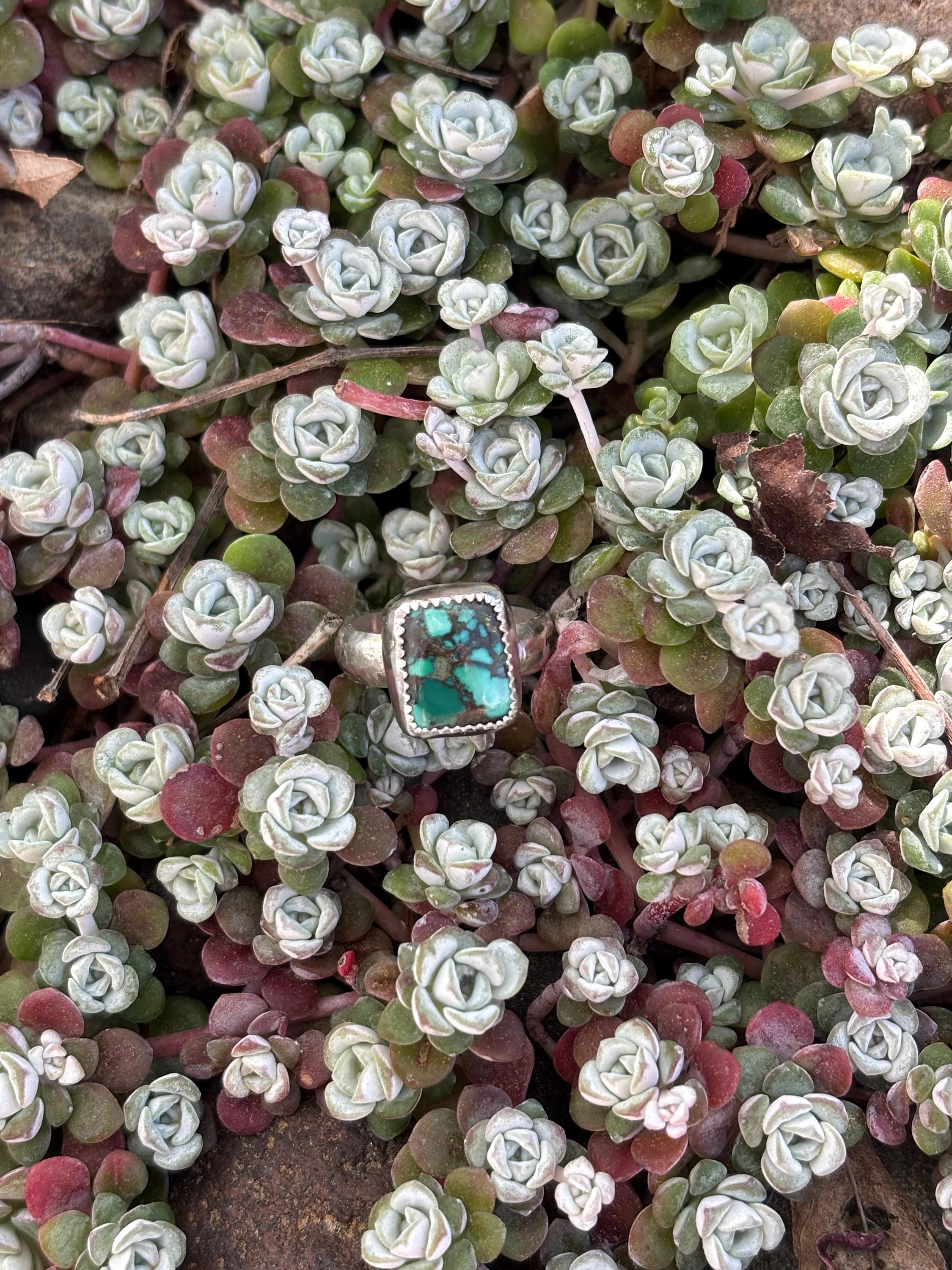 Hubei Turquoise and Sterling Silver Ring, size 6.75